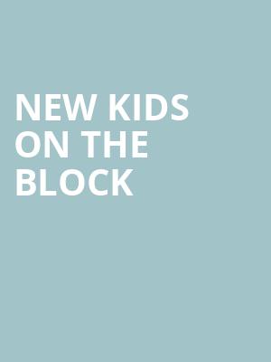 New Kids On The Block, Credit Union 1 Amphitheatre, Chicago