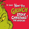 How The Grinch Stole Christmas at the Cadillac Palace Theater, Chicago
