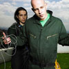 Infected Mushroom