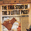 True Story of the Three Little Pigs