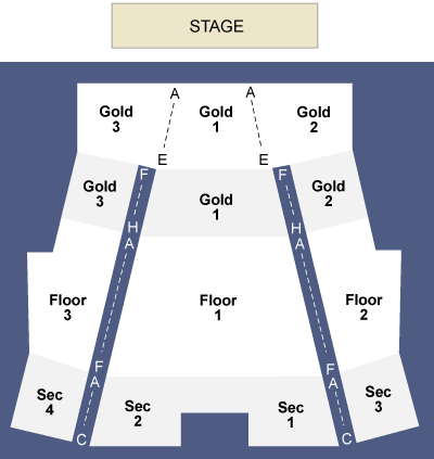 Vic Theater