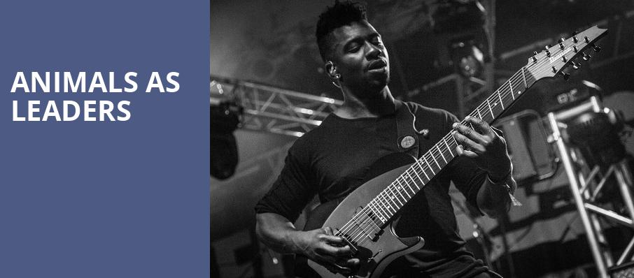 Animals As Leaders, House of Blues, Chicago