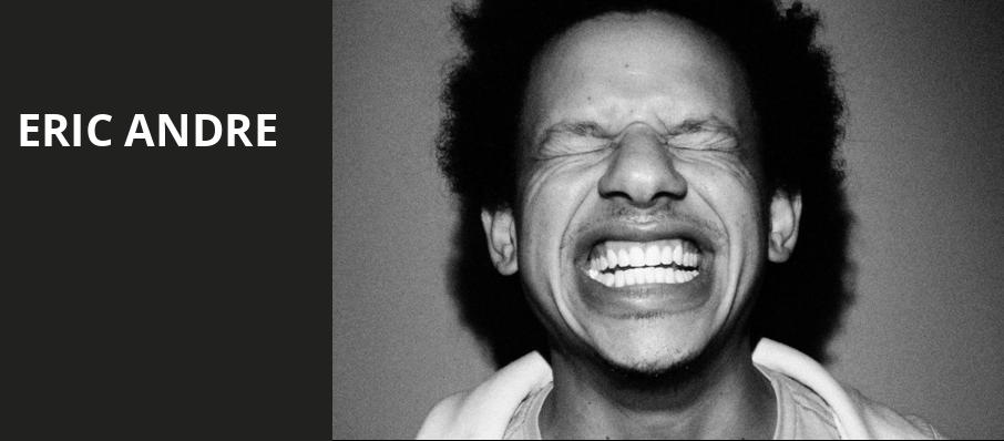 Eric Andre, The Salt Shed, Chicago