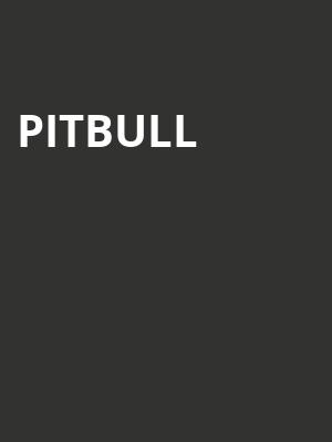 Pitbull, Credit Union 1 Amphitheatre, Chicago
