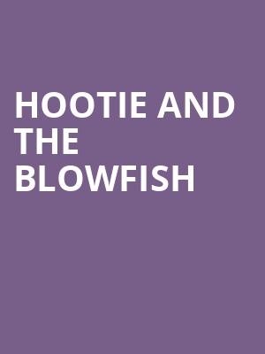 Hootie and the Blowfish, Credit Union 1 Amphitheatre, Chicago
