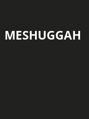 Meshuggah, Radius Chicago, Chicago