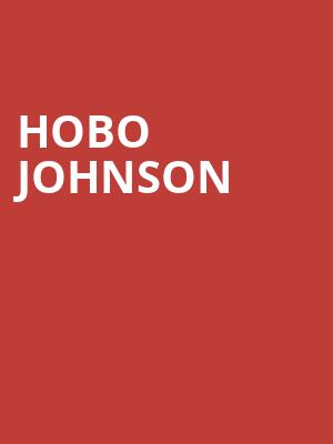 Hobo Johnson, Vic Theater, Chicago