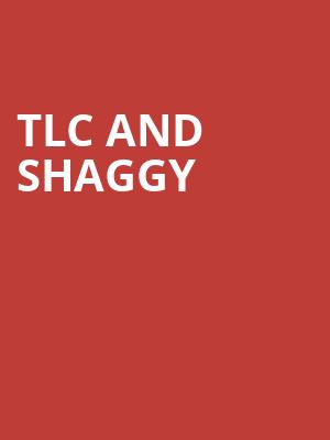 TLC and Shaggy, Hollywood Casino Amphitheatre Chicago, Chicago