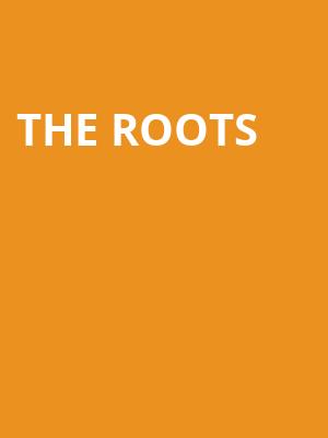 The Roots, Ravinia Pavillion, Chicago