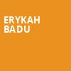Erykah Badu, United Center, Chicago