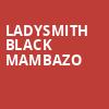 Ladysmith Black Mambazo, Old Town School Of Folk Music, Chicago