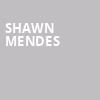 Shawn Mendes, All State Arena, Chicago