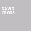 David Cross, Thalia Hall, Chicago