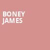 Boney James, City Winery, Chicago