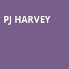 PJ Harvey, The Salt Shed, Chicago