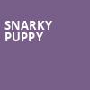 Snarky Puppy, Riviera Theater, Chicago