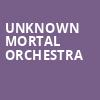 Unknown Mortal Orchestra, Radius Chicago, Chicago
