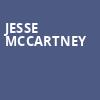 Jesse McCartney, Vic Theater, Chicago