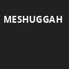 Meshuggah, Radius Chicago, Chicago