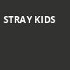Stray Kids, United Center, Chicago