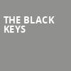 The Black Keys, Hollywood Casino Amphitheatre Chicago, Chicago