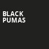 Black Pumas, The Salt Shed, Chicago