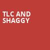 TLC and Shaggy, Hollywood Casino Amphitheatre Chicago, Chicago
