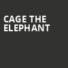 Cage The Elephant, Credit Union 1 Arena, Chicago