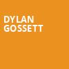 Dylan Gossett, Joes Live at MB Financial Park, Chicago