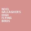 Noel Gallaghers High Flying Birds, Huntington Bank Pavilion, Chicago