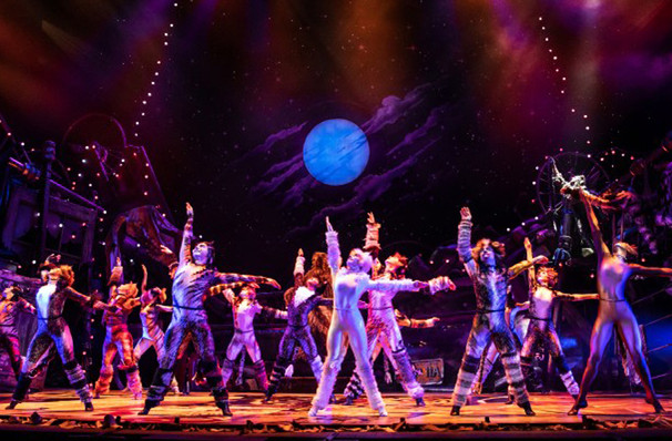 Cats To Welcome New Cast For 2020!